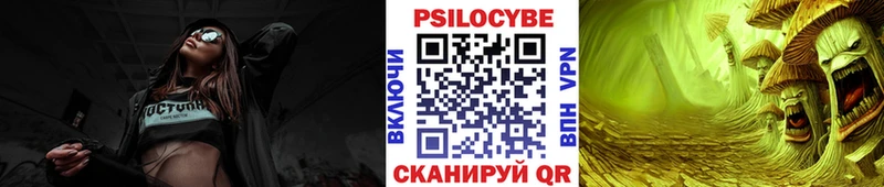 хочу   Пермь  Псилоцибиновые грибы Magic Shrooms 