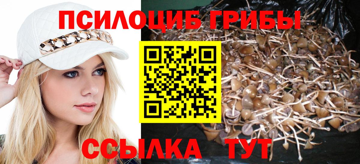 Псилоцибиновые грибы Psilocybine cubensis Пермь