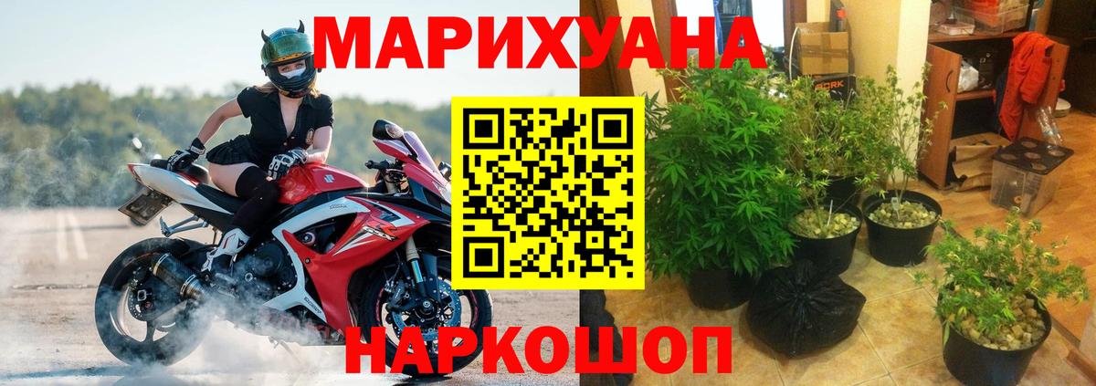Бошки Шишки план Пермь